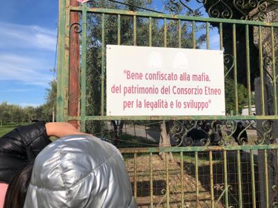 WhatsApp Image 2023-12-15 at 09.50.03 (2)