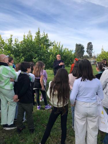 WhatsApp Image 2023-12-15 at 09.50.04 (1)