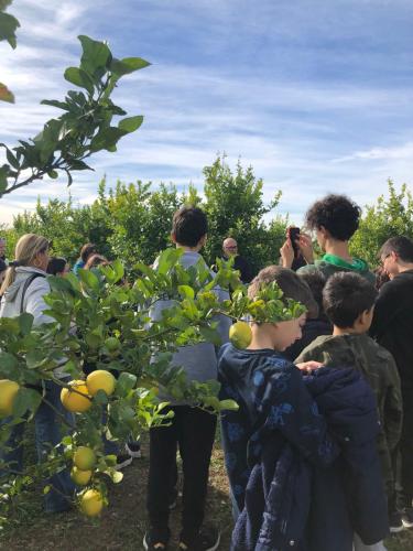 WhatsApp Image 2023-12-15 at 09.50.04 (3)