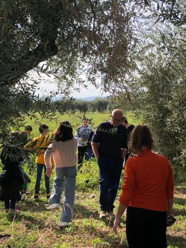 WhatsApp Image 2023-12-15 at 09.50.04