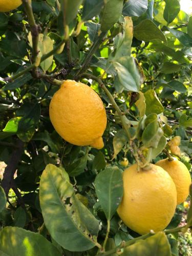 WhatsApp Image 2023-12-15 at 09.50.05 (5)