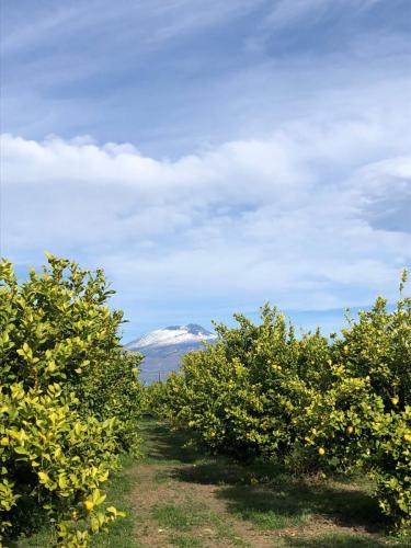 WhatsApp Image 2023-12-15 at 09.50.05 (6)