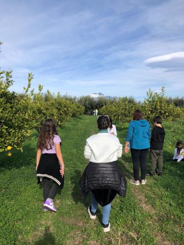 WhatsApp Image 2023-12-15 at 09.50.06 (1)