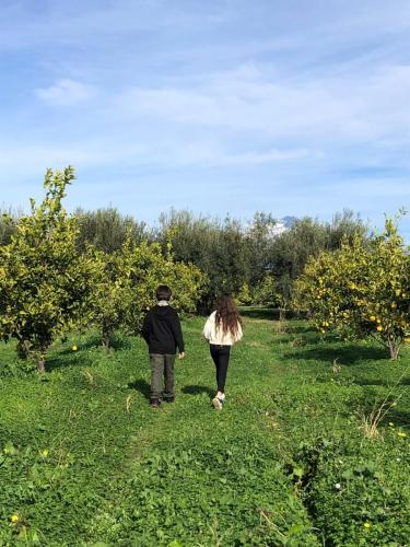 WhatsApp Image 2023-12-15 at 09.50.06