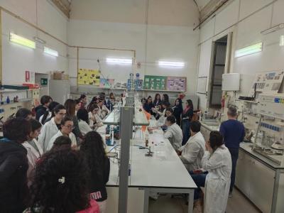 WhatsApp Image 2023-12-16 at 17.00.29