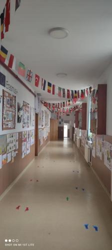 WhatsApp Image 2024-05-02 at 15.46.59 (3)