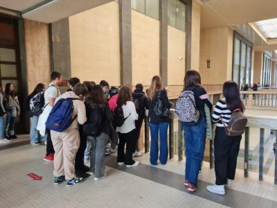 WhatsApp Image 2024-05-29 at 15.41.34