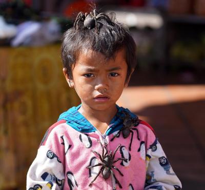 WhatsApp Image 2025-02-01 at 16.19.37