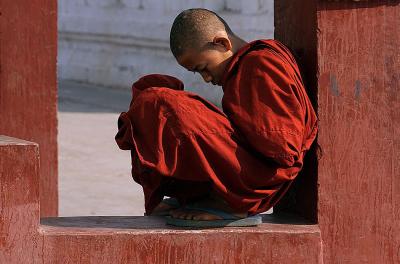 WhatsApp Image 2025-02-01 at 16.20.17