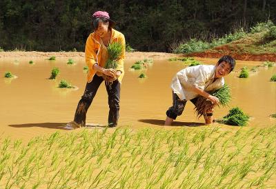 WhatsApp Image 2025-02-01 at 16.21.04