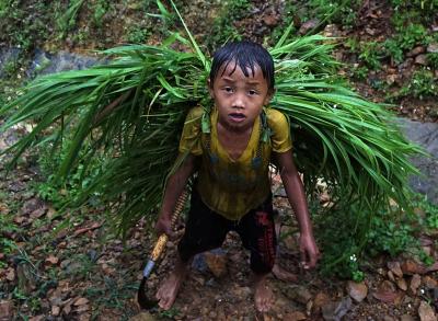 WhatsApp Image 2025-02-01 at 16.21.25