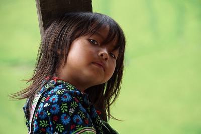 WhatsApp Image 2025-02-01 at 16.21.47