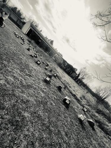 WhatsApp Image 2025-02-08 at 16.11.42