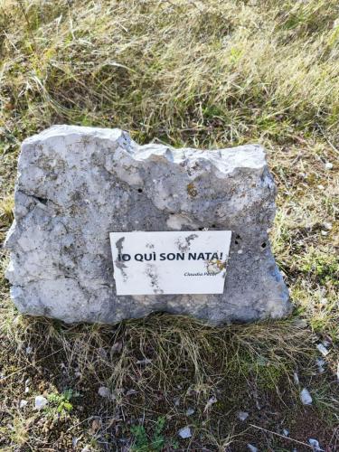 WhatsApp Image 2025-02-08 at 16.11.43 (1)