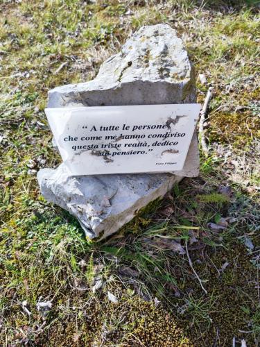 WhatsApp Image 2025-02-08 at 16.11.43 (2)