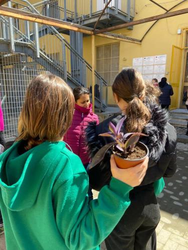 WhatsApp Image 2025-03-29 at 09.37.33 (1)