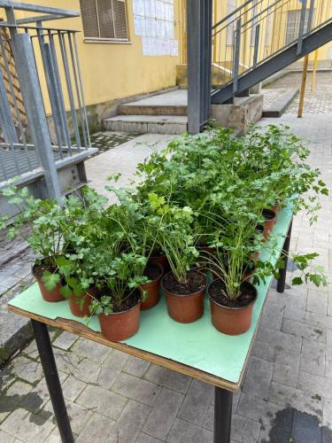 WhatsApp Image 2025-03-29 at 09.37.33 (2)