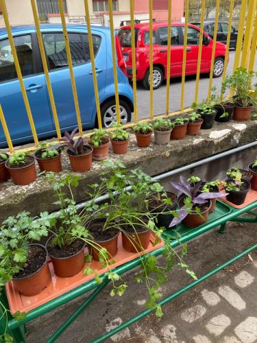 WhatsApp Image 2025-03-29 at 09.37.33 (3)