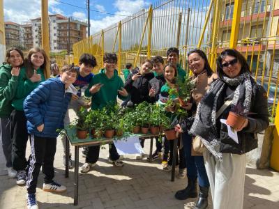 WhatsApp Image 2025-03-29 at 09.37.33