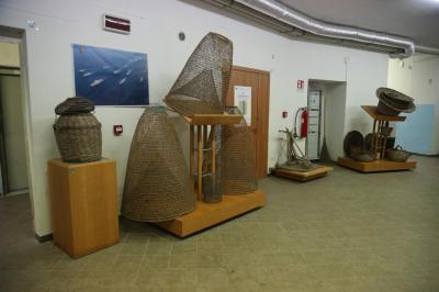 WhatsApp Image 2025-04-30 at 11.03.50