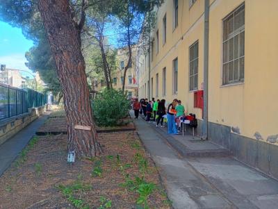 WhatsApp Image 2025-05-23 at 17.15.21 (1)