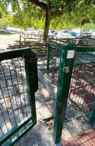 WhatsApp Image 2025-06-01 at 10.31.36