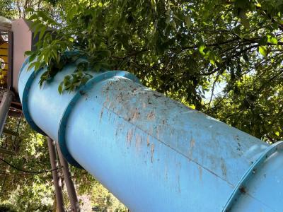 WhatsApp Image 2025-06-01 at 10.31.46