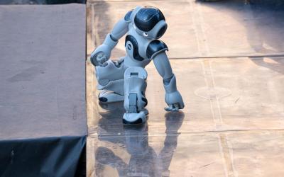 WhatsApp Image 2025-06-12 at 10.04.40 (1)