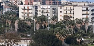 WhatsApp Image 2025-06-16 at 09.05.09