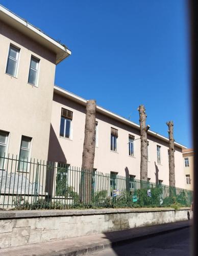 WhatsApp Image 2025-07-24 at 09.49.05