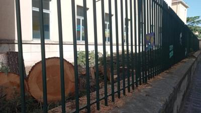 WhatsApp Image 2025-07-24 at 09.49.18 (1)