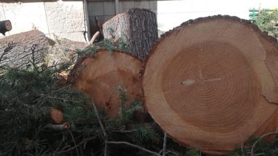 WhatsApp Image 2025-07-24 at 09.49.18 (2)