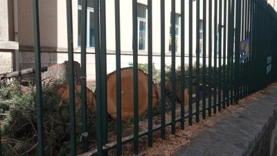 WhatsApp Image 2025-07-24 at 09.49.18 (3)