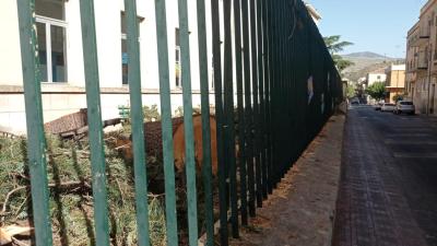 WhatsApp Image 2025-07-24 at 09.49.18 (4)