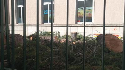 WhatsApp Image 2025-07-24 at 09.49.18 (5)