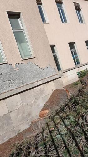 WhatsApp Image 2025-07-24 at 09.49.18