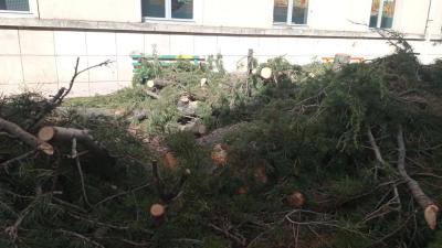 WhatsApp Image 2025-07-24 at 09.49.19 (1)