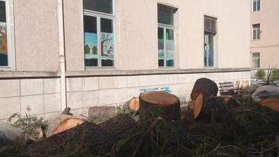 WhatsApp Image 2025-07-24 at 09.49.19