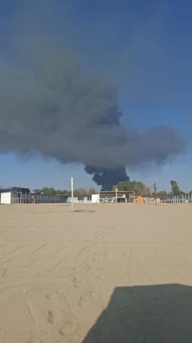 WhatsApp Image 2025-08-09 at 09.59.00