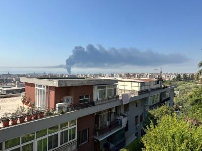 WhatsApp Image 2025-08-09 at 10.00.26