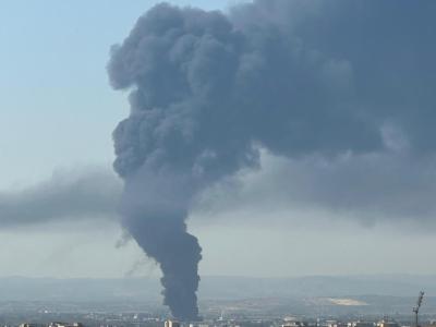 WhatsApp Image 2025-08-09 at 10.00.27