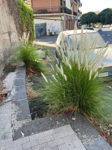 WhatsApp Image 2025-09-18 at 08.05.47