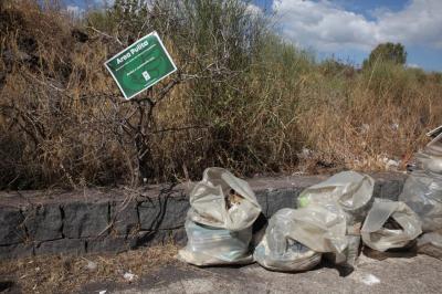 WhatsApp Image 2025-09-19 at 14.49.14 (1)