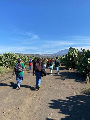 WhatsApp Image 2025-10-15 at 16.17.06 (1)