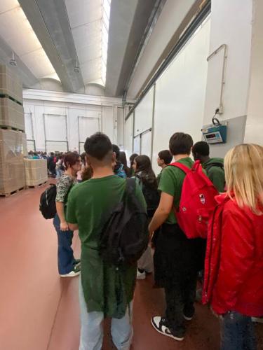 WhatsApp Image 2025-10-15 at 16.17.06 (4)