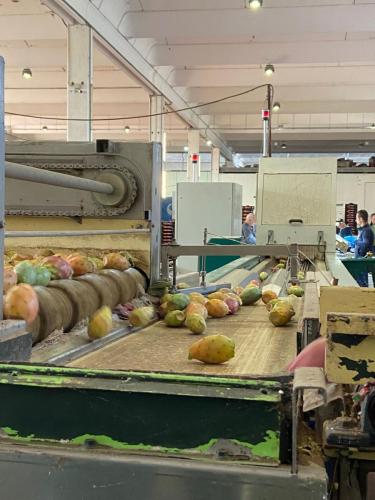 WhatsApp Image 2025-10-15 at 16.17.06 (5)