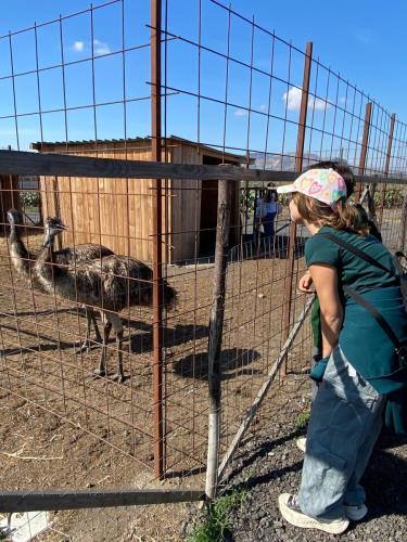 WhatsApp Image 2025-10-15 at 16.17.07 (1)