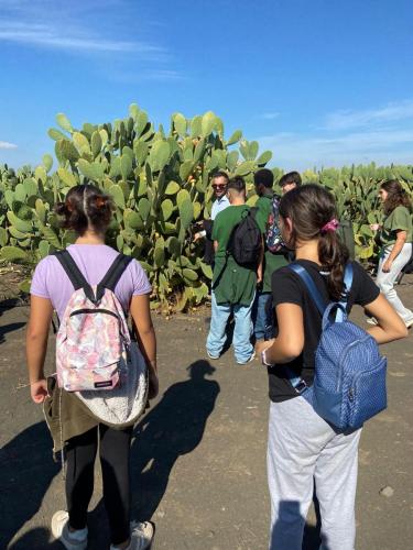 WhatsApp Image 2025-10-15 at 16.17.07