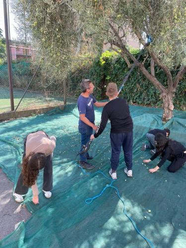 WhatsApp Image 2025-10-15 at 16.18.11 (4)