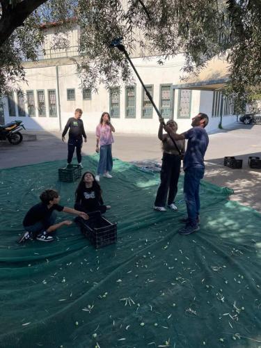 WhatsApp Image 2025-10-15 at 16.18.11